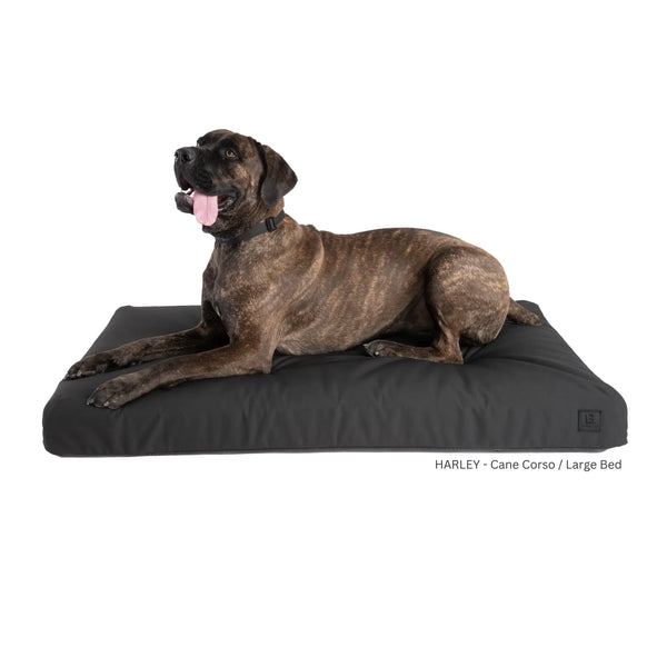 Canine ballistics bed online