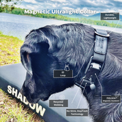 Magnetic Ultralight Dog Collar