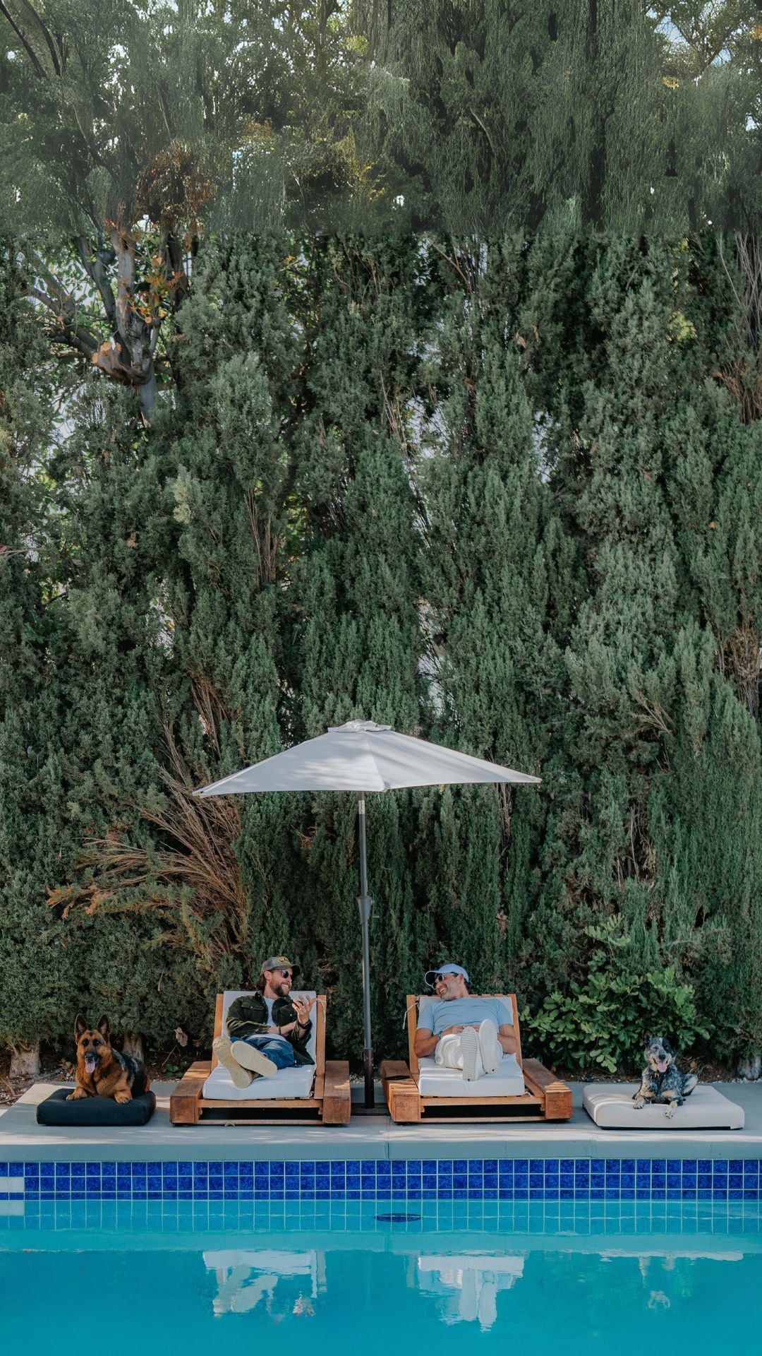 916_Den_Carousel_Ad_1e96a775-3082-4a31-ad3e-3ae65c3af6d3.jpg