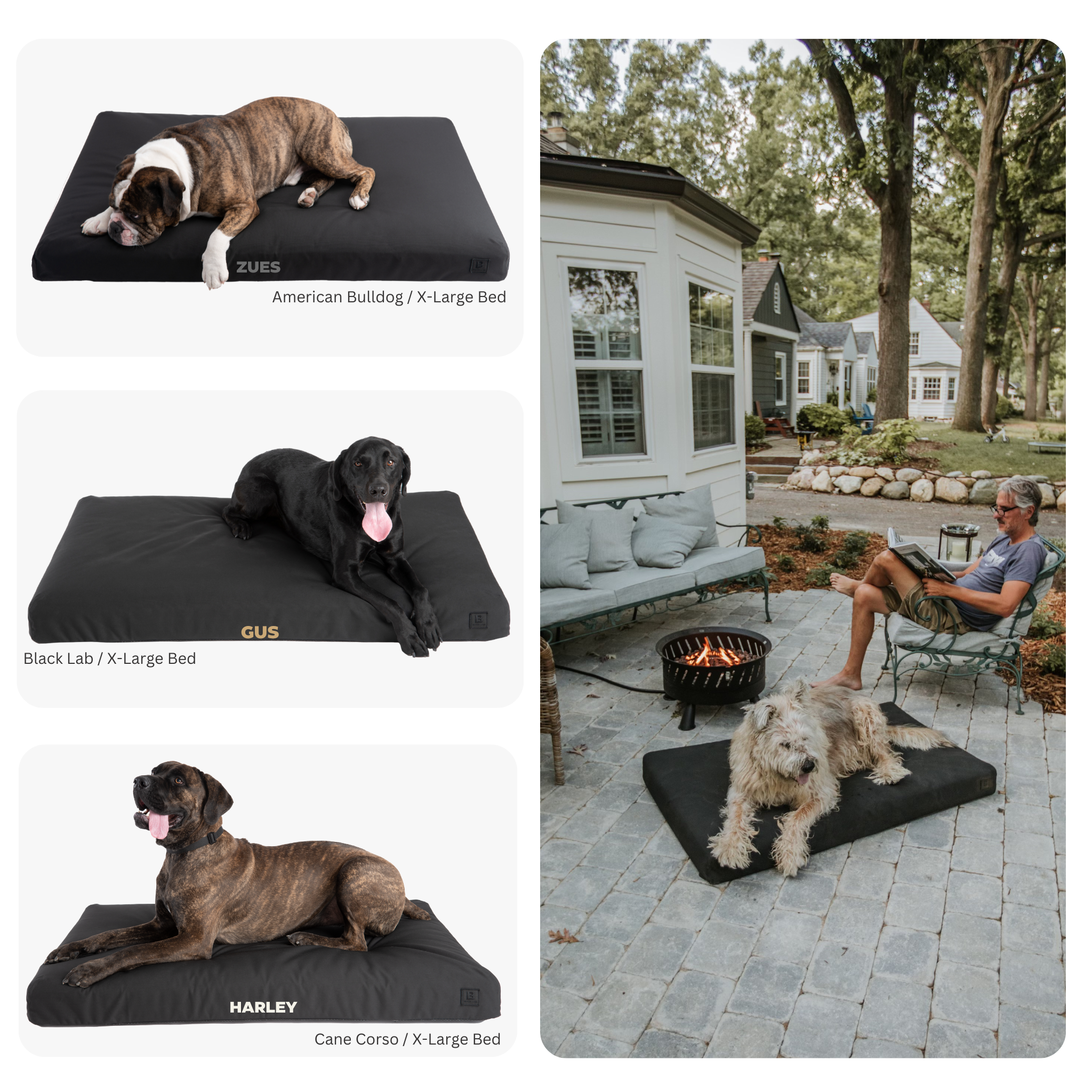 The Beast - UltraTough Orthopedic Dog Bed