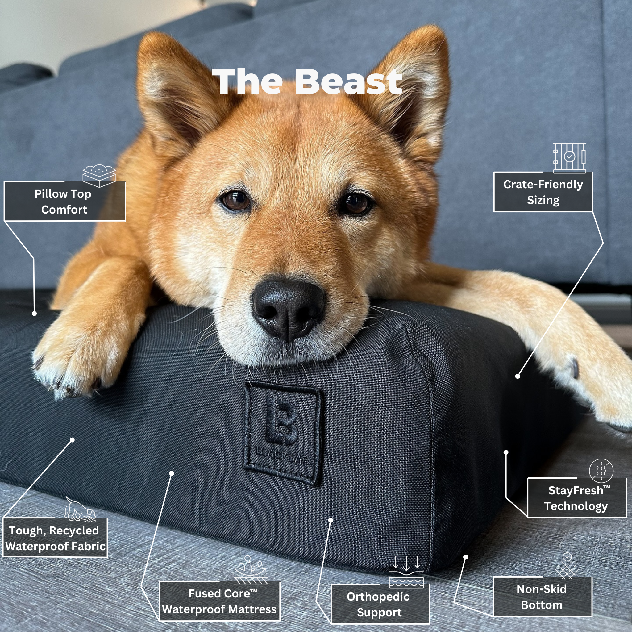 The Beast - UltraTough Orthopedic Dog Bed