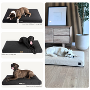 Collage of dogs on different dog beds to show bed sizing.