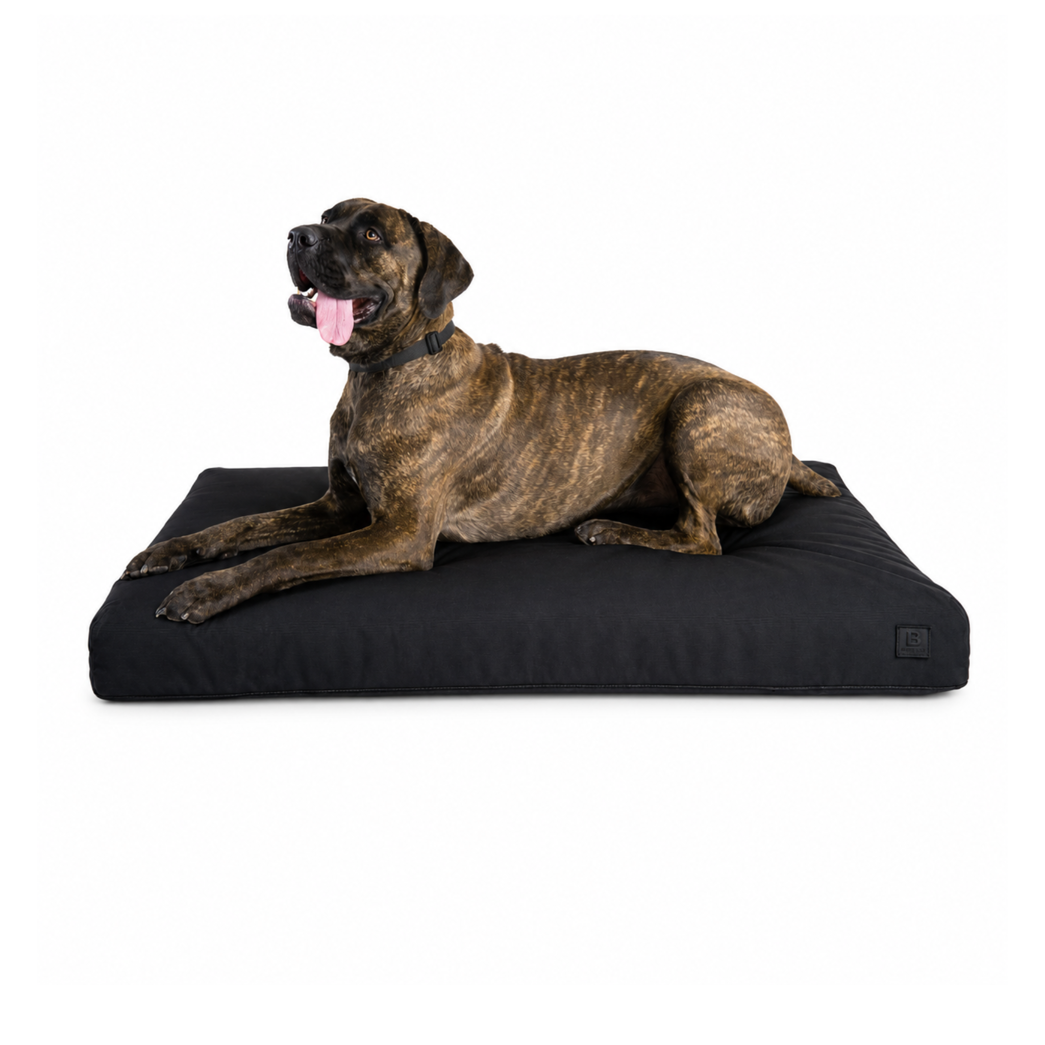 A large brindle dog lies on a water proof rectangular black dog bed with tough cover against a plain white studio background.