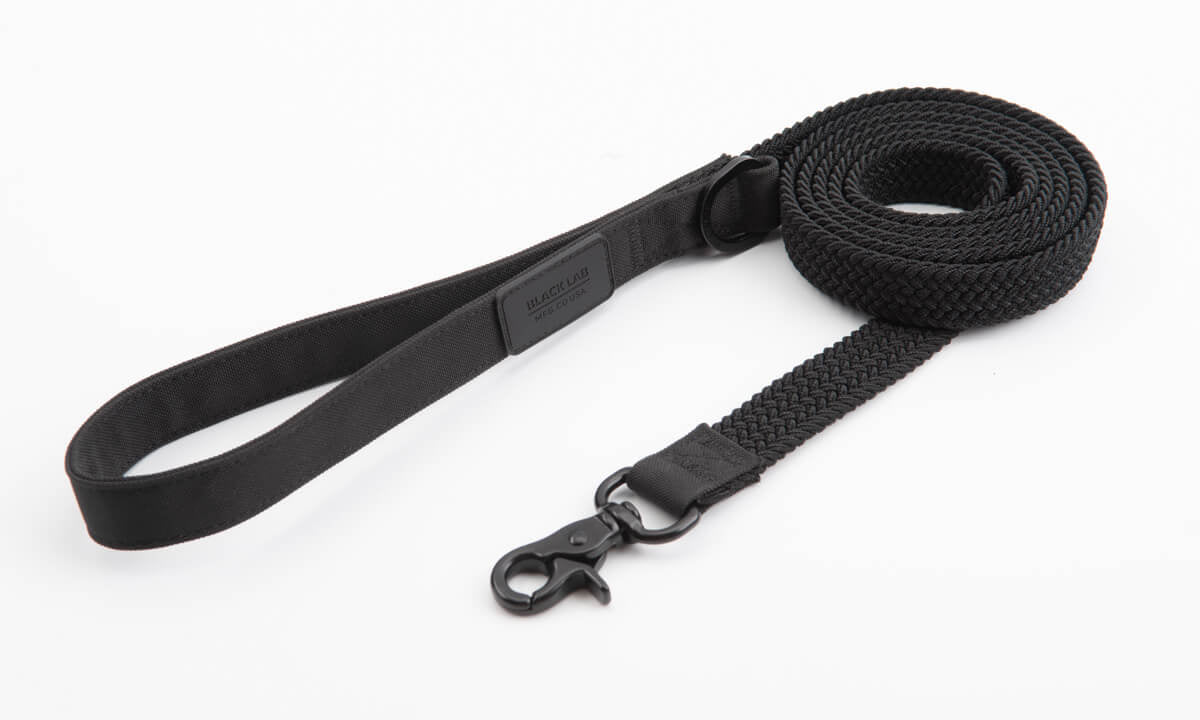 Woven Bungee Dog Leash