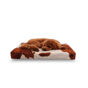 Brown dog lying on a cow-patterned Signature orthopedic waterproof dog bed with removable washable cover on a white background.