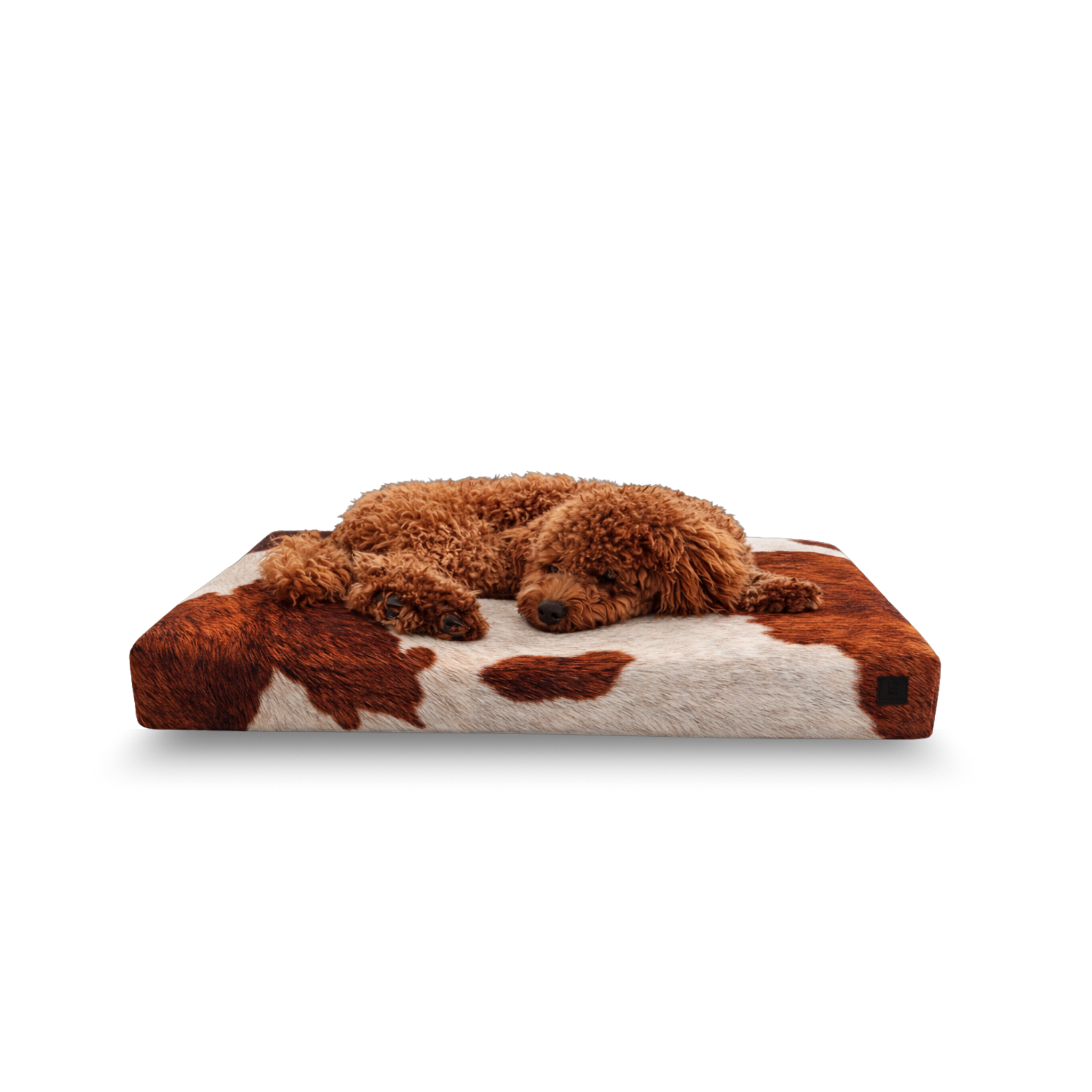 Brown dog lying on a cow-patterned Signature orthopedic waterproof dog bed with removable washable cover on a white background.