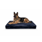 German Shepard lying on a cow-patterned Signature orthopedic waterproof dog bed with removable washable cover on a white background.
