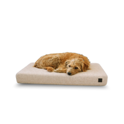 Dog lying on a ecru tan Signature orthopedic waterproof dog bed with removable washable cover on a white background