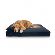 Dog lying on a large black modular dog bed with a white background