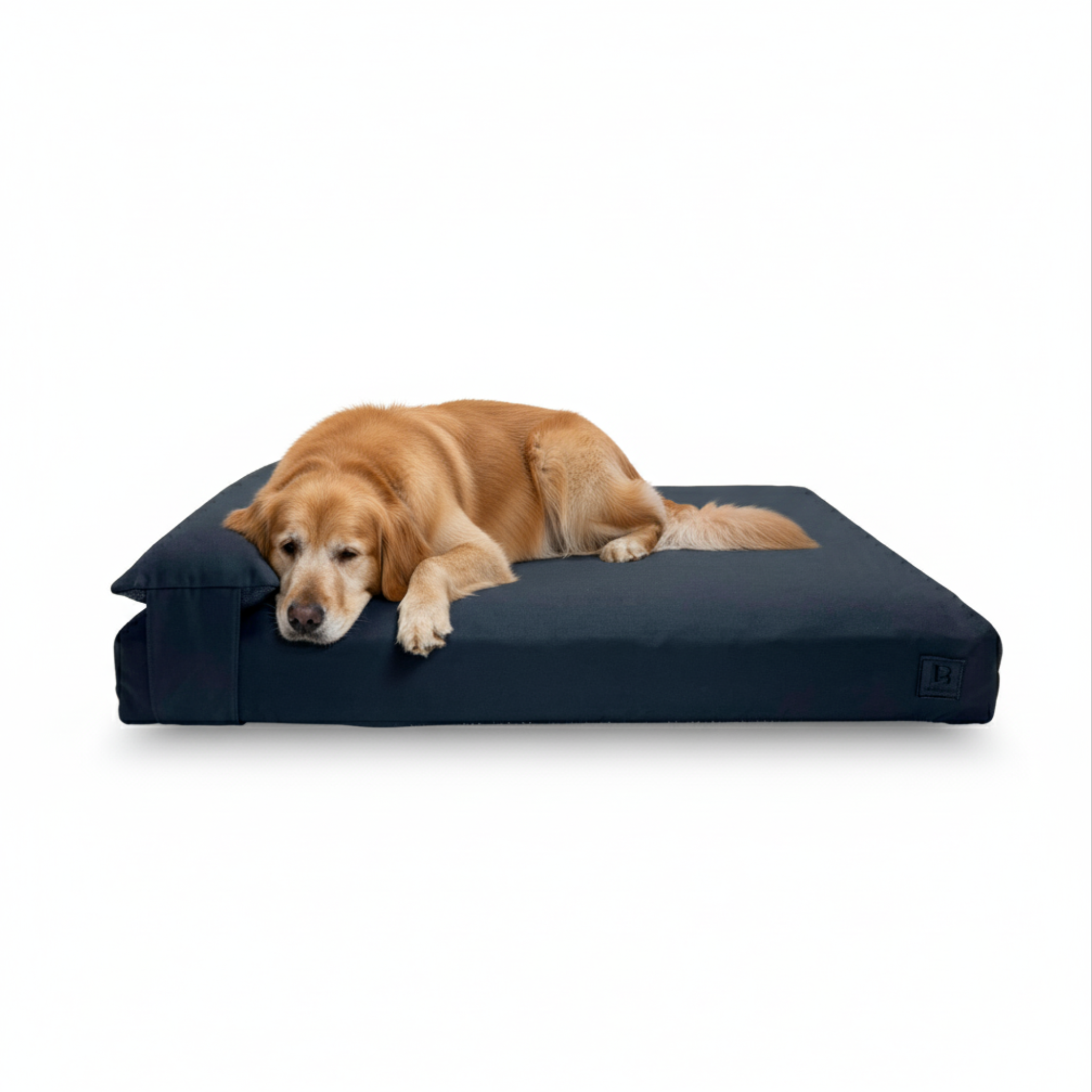 Dog lying on a large black modular dog bed with a white background