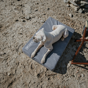 Dog lying on a gray Fused Core Utility waterproof dog bed in a sandy outdoor area.