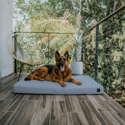 Fused Core™ Dog Bed - MICROSUEDE