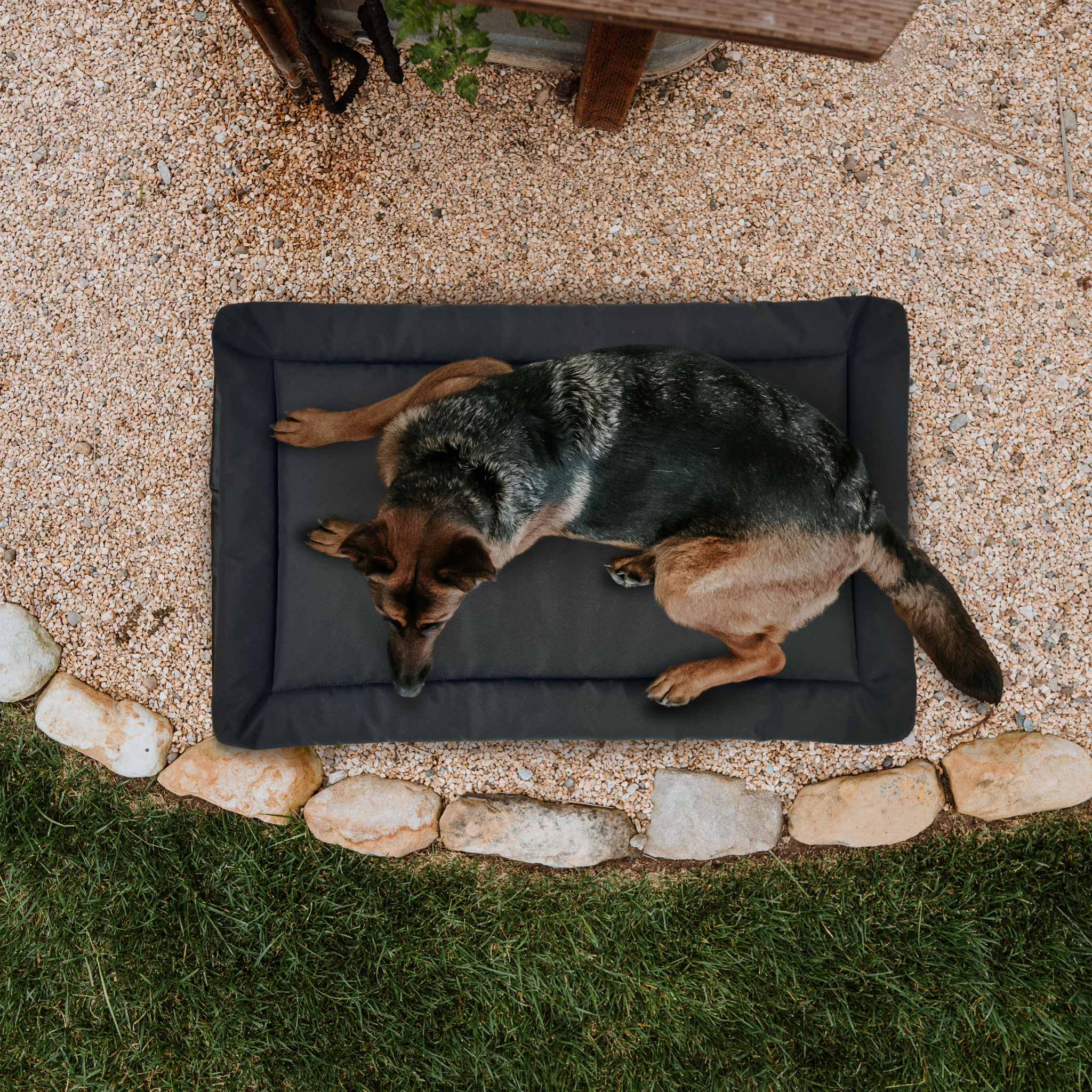Durable Dog Mat Best Crate Bed For Chewers Chew Proof Dog Cage