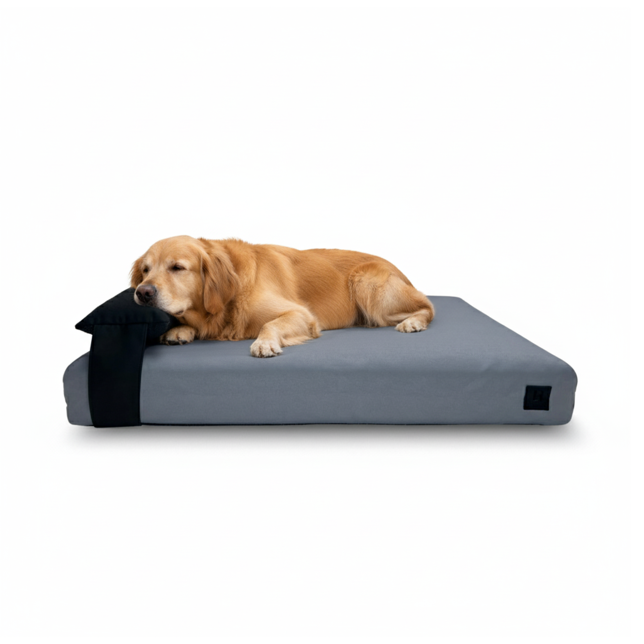 Large dog resting on orthopedic waterproof dog bed with headrest pillow 