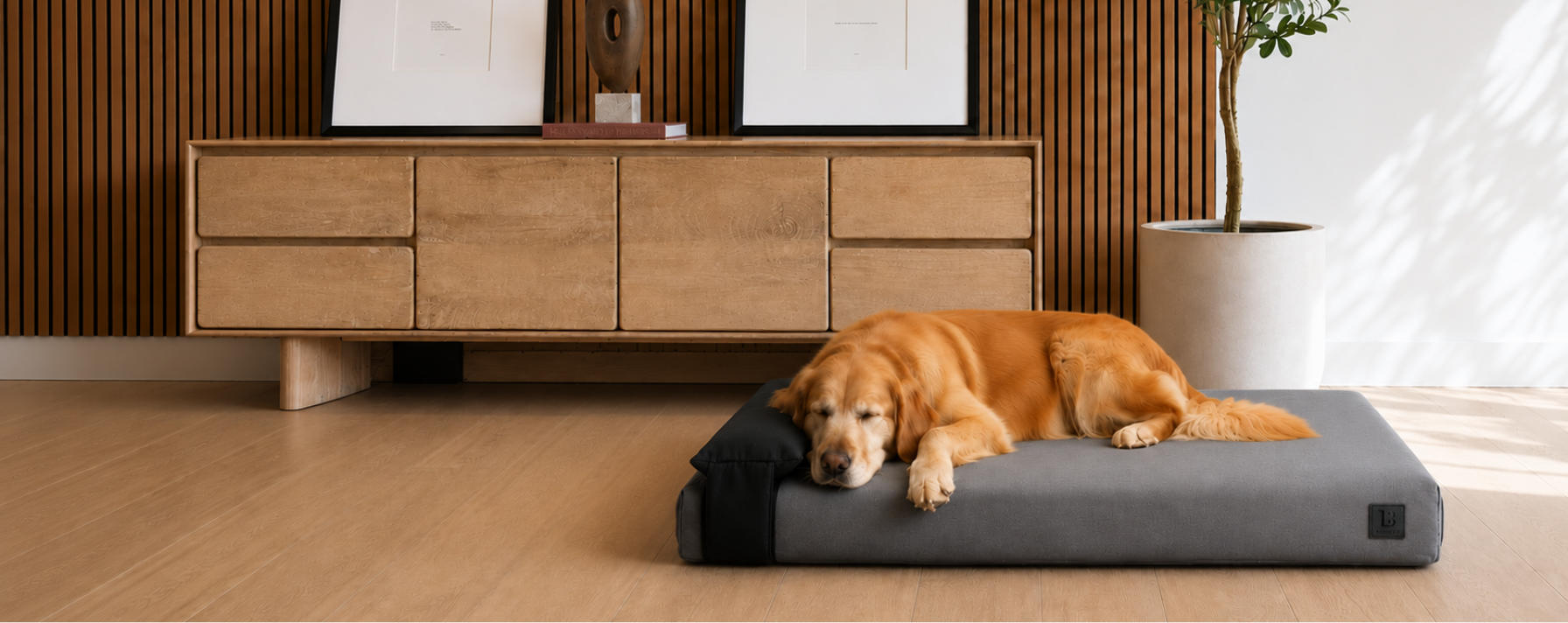 A golden retriever dog rests on a dark gray rectangular pet bed with black head rest pillow in a modern living room setting with a wooden credenza and slatted wall.