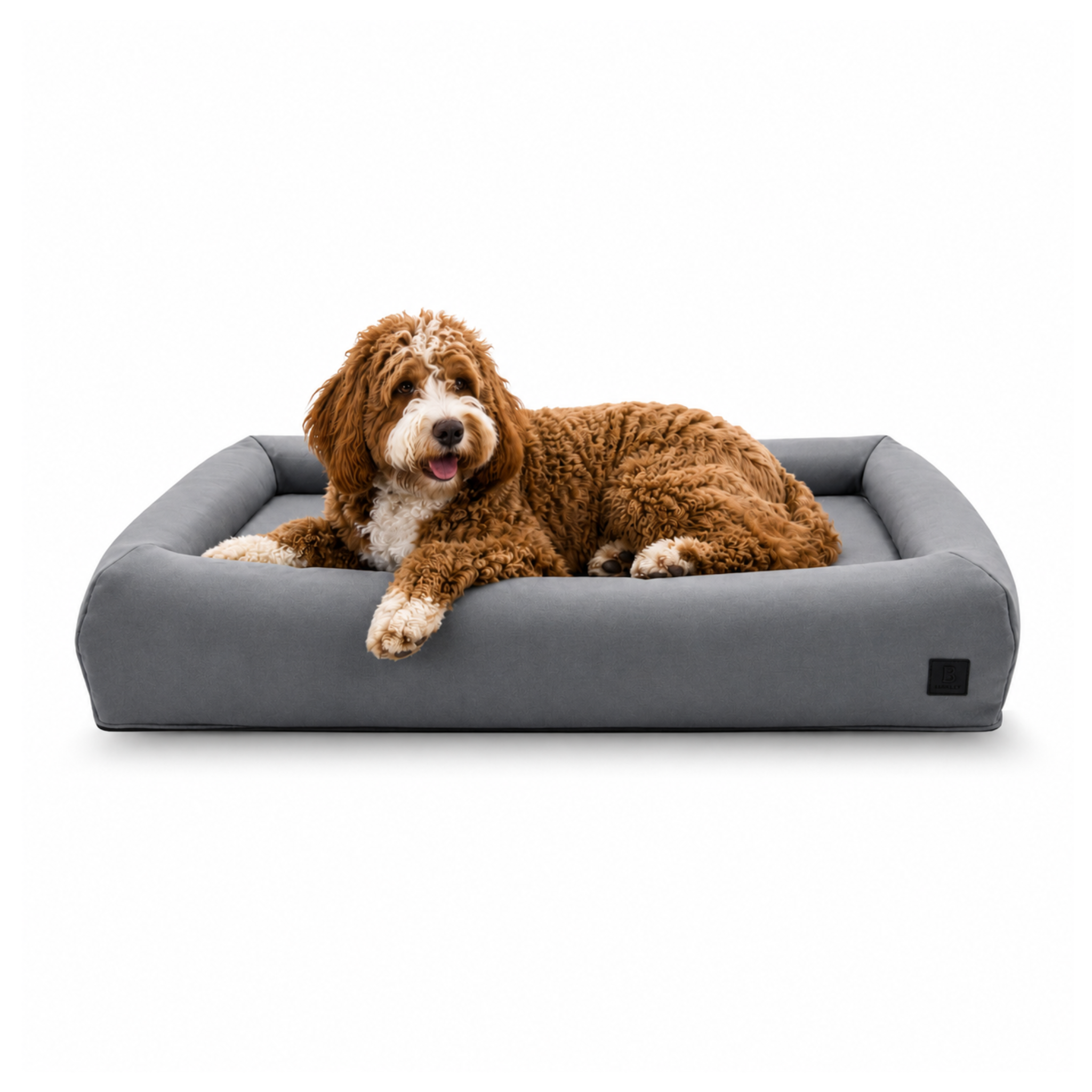 A brown and white doodle lies relaxed inside a rectangular gray pet bed with a raised padded bolster, photographed on a clean white studio background.
