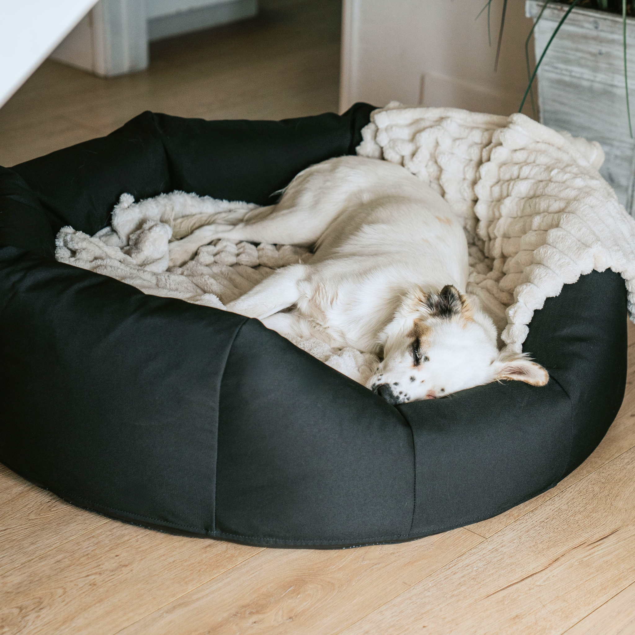 Round Dog Bed with a dog sleeping on a cream color blanket