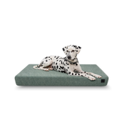 Dalmatian lying on a ecru tan Signature orthopedic waterproof dog bed with removable washable cover on a white background.