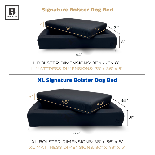 Build your dog bed sizing options