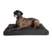 Extra Large Waterproof Durable Orthopedic Dog Bed with waterproof mattress and removable cover in black.