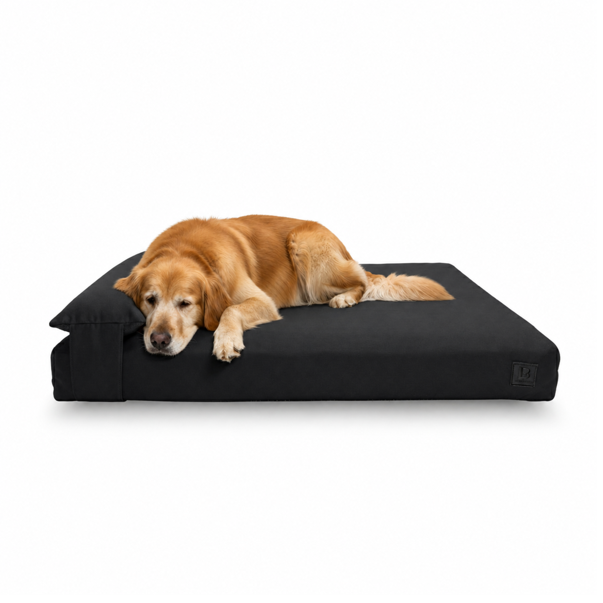 A golden retriever dog rests on an thick, orthopedic, black rectangular dog bed with a matching pillow headrest, set against a plain white background.