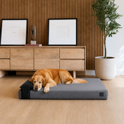 A golden retriever dog rests on a dark gray rectangular orthopedic waterproof dog bed with black headrest pillow bed, placed in a modern room with a wooden slat wall, light wood cabinet, framed art, and a potted plant.