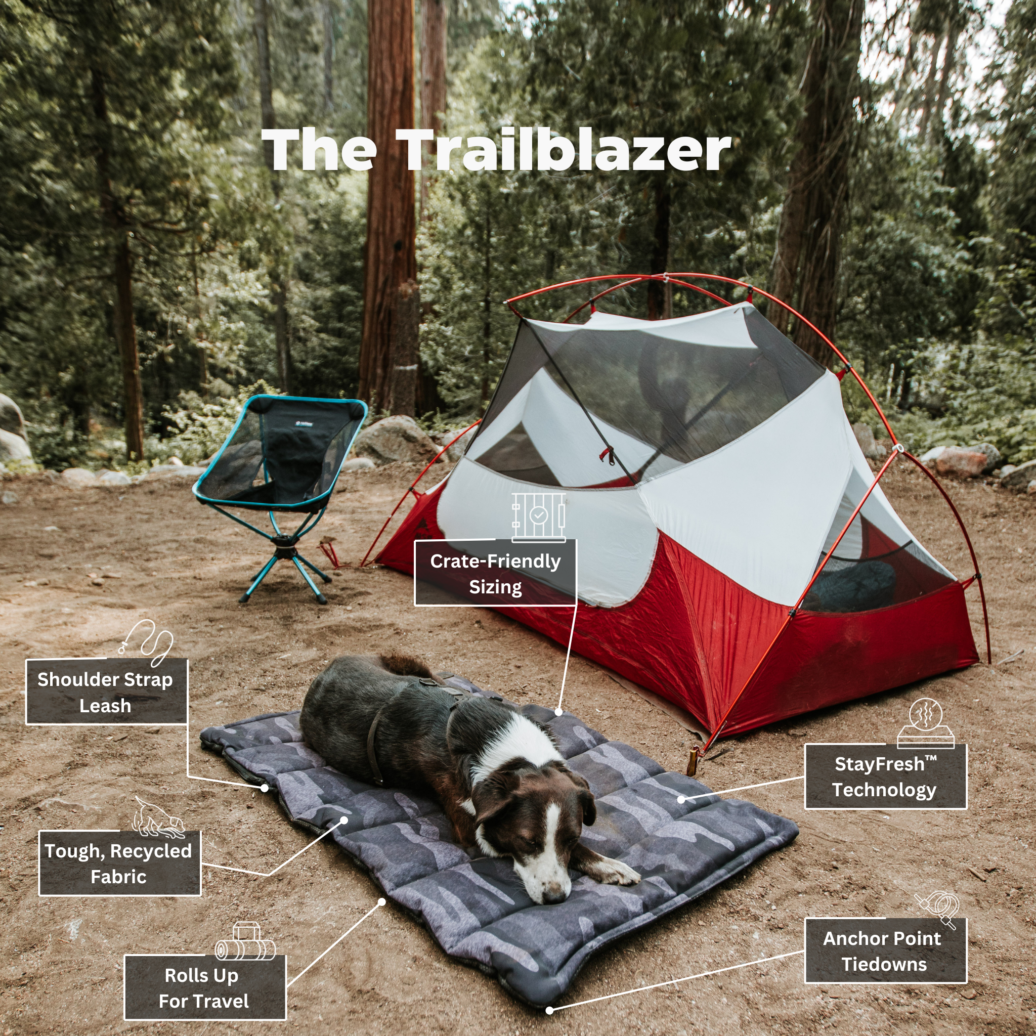 Trailblazer - Tough Travel Dog Bed