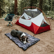 Trailblazer Tough Travel Dog Bed Camping