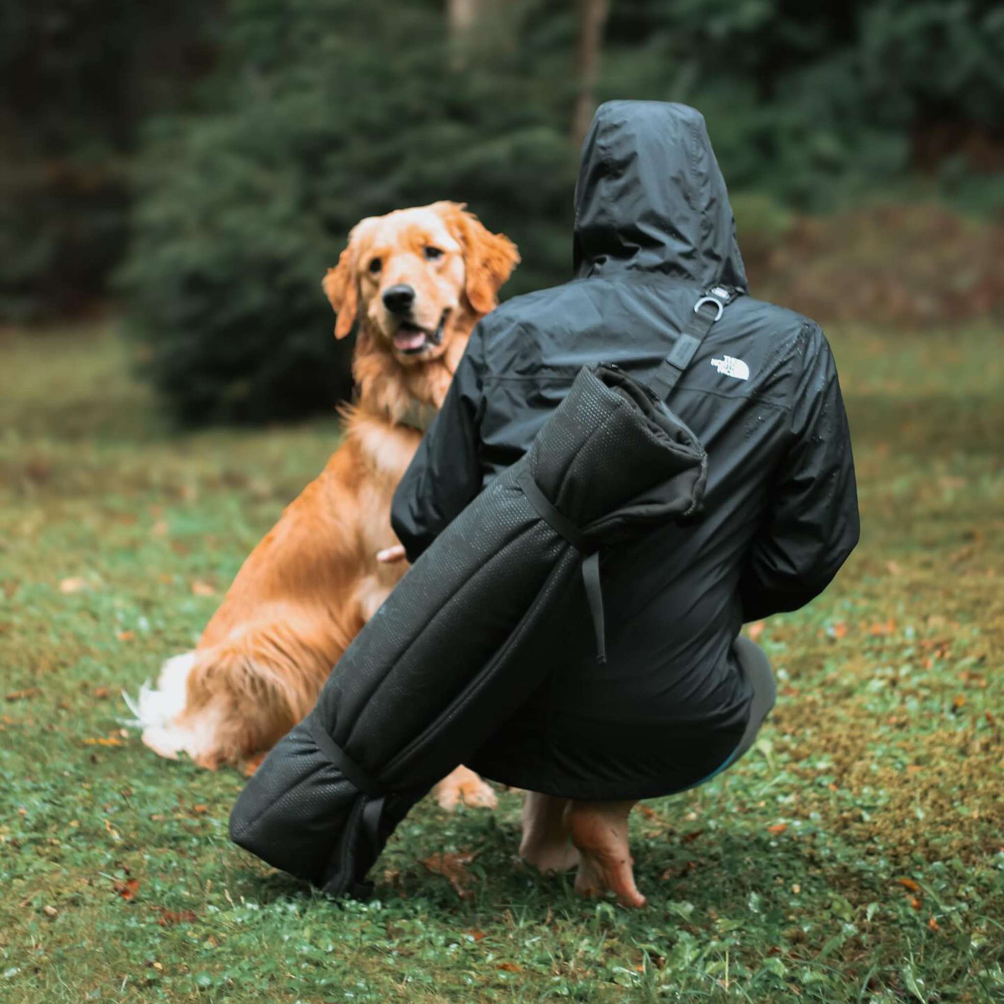 Trailblazer Travel Dog Roadtrip