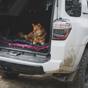 Trailblazer Travel Dog Bed Roadtrip 2