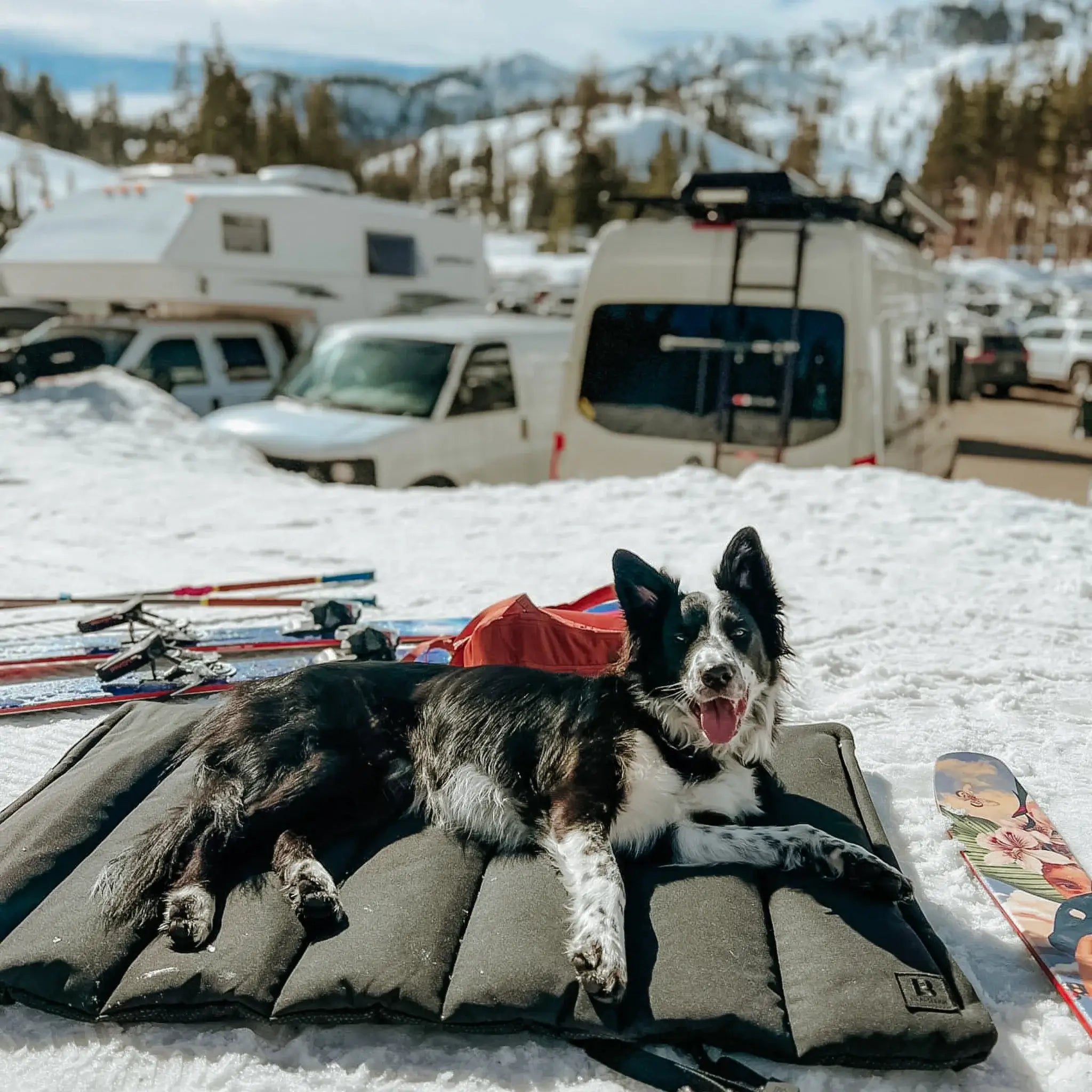 Trailblazer Travel Dog Bed Skiing 