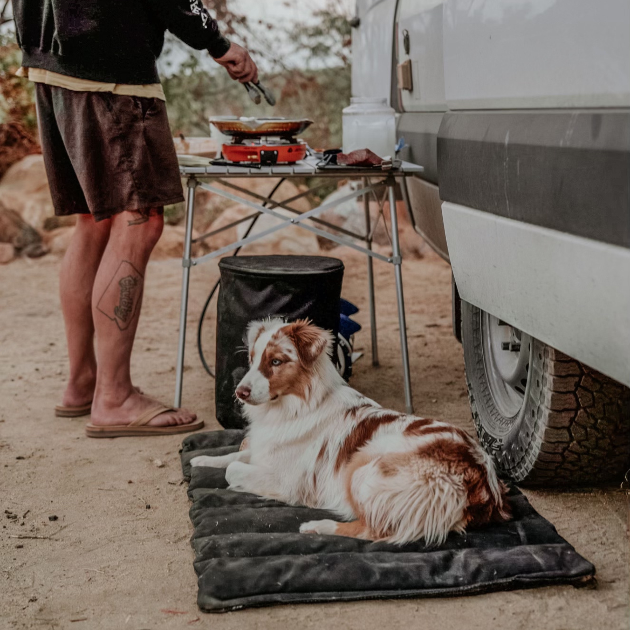 Trailblazer - Tough Travel Dog Bed