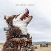 Ultralight Dog Collar