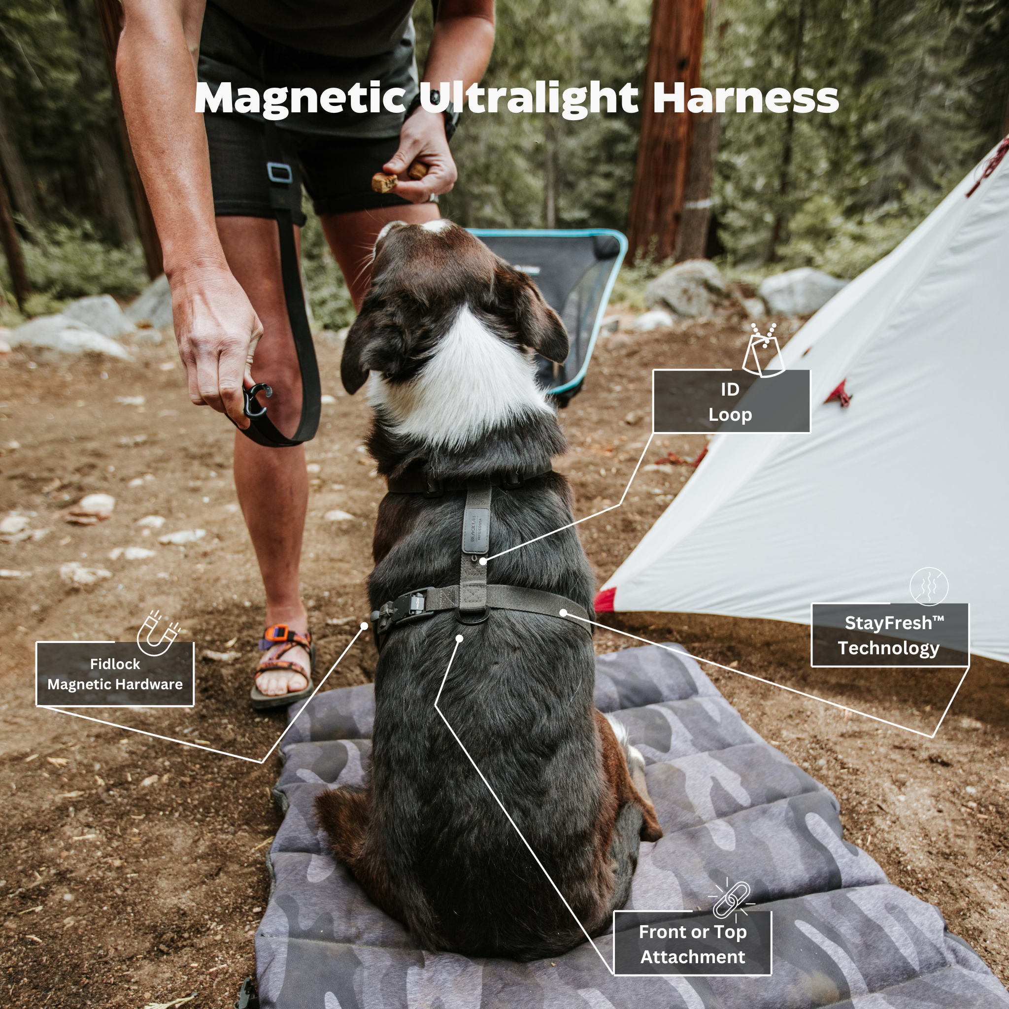 Magnetic Ultralight Dog Harness