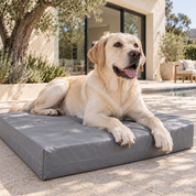 A yellow Labrador retriever lies on a rectangular gray all-weather waterproof utility outdoor dog bed on a sunlit patio in front of a modern house.