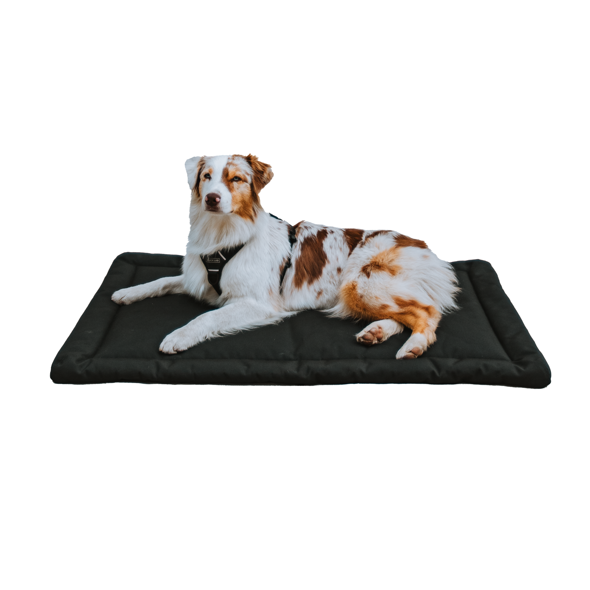Versa Tough Dog Crate Pad 