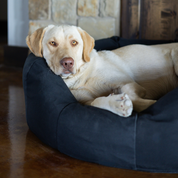 Yellow Lab laying in a round Den Dog Bed