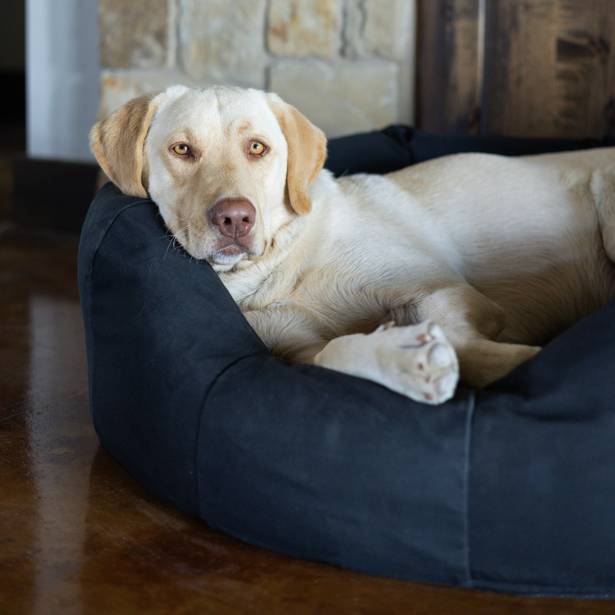 Yellow Lab laying in a round Den Dog Bed