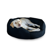 Yellow Lab laying in a round Den Dog Bed with a white background