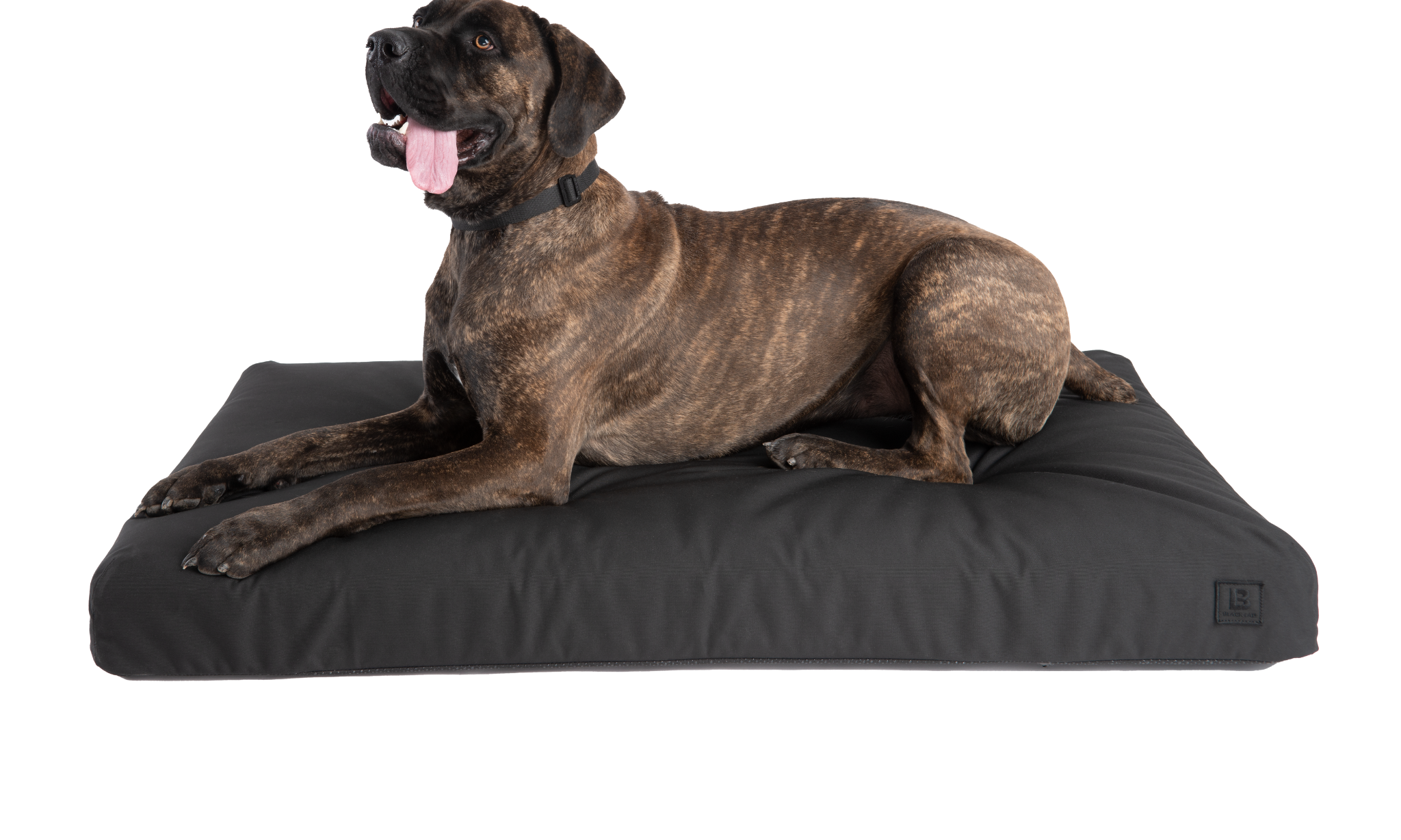 Beast Water Poof Tough Durable Dog Bed