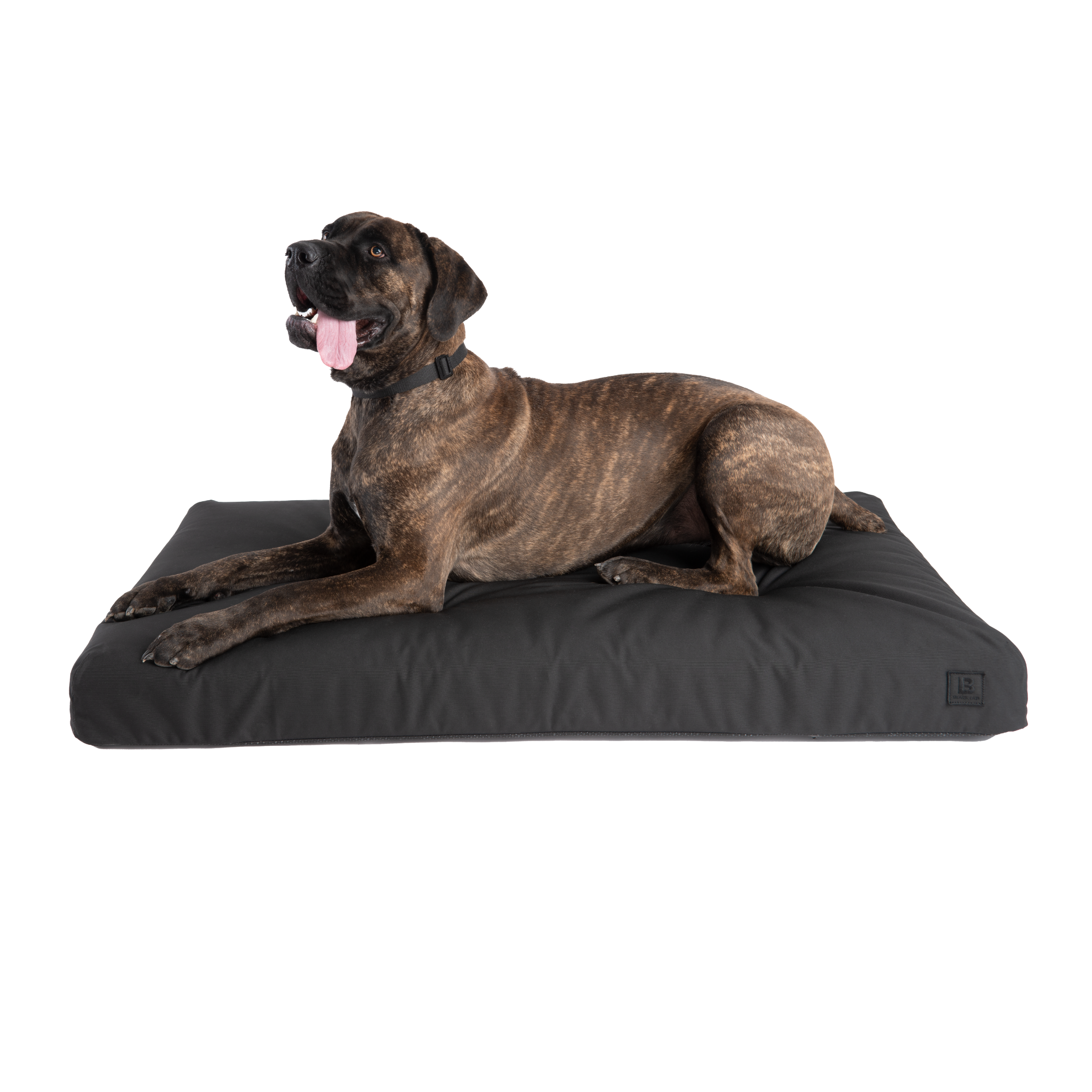 The Beast UltraTough Orthopedic Dog Bed Black Lab