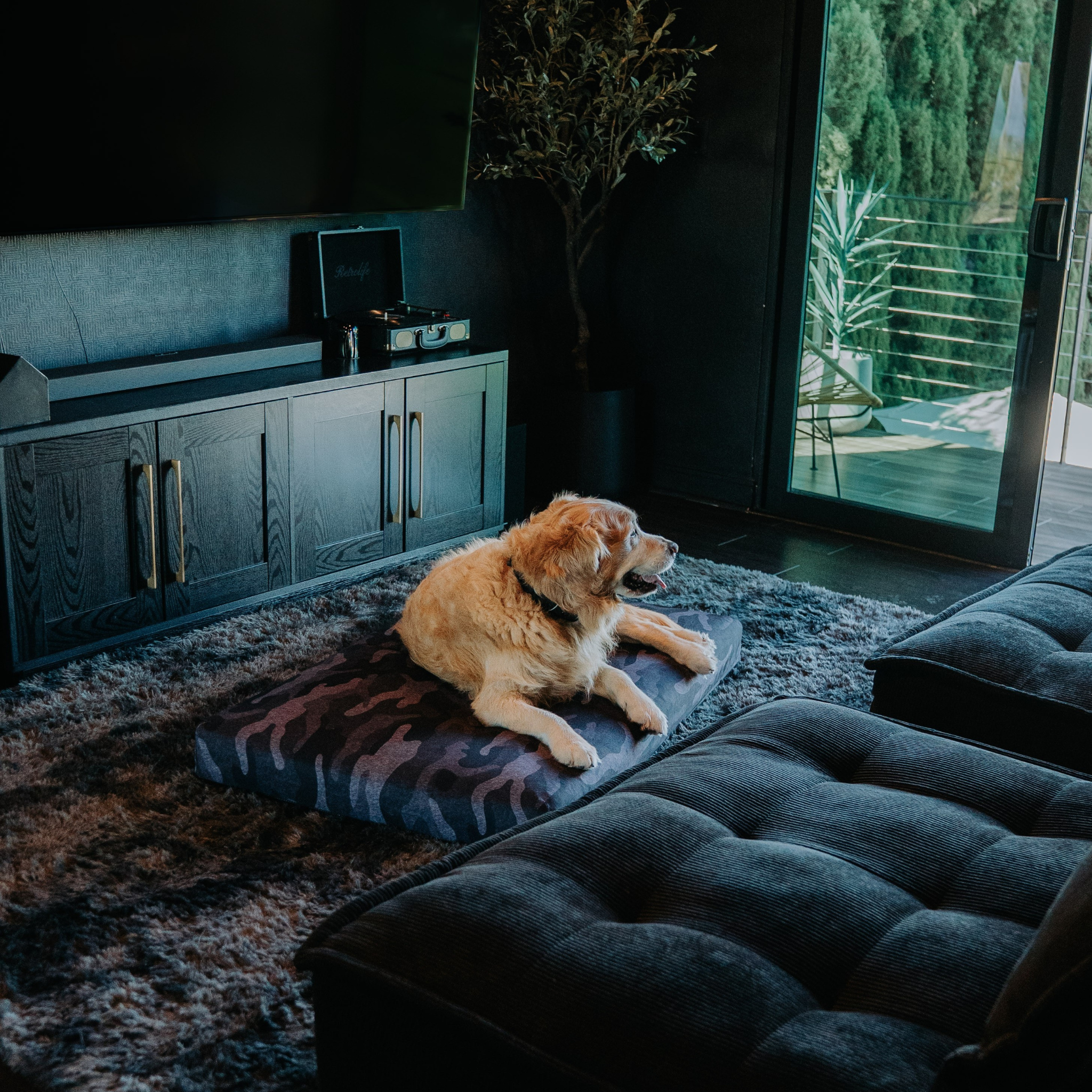 beast_dark_room_1.png