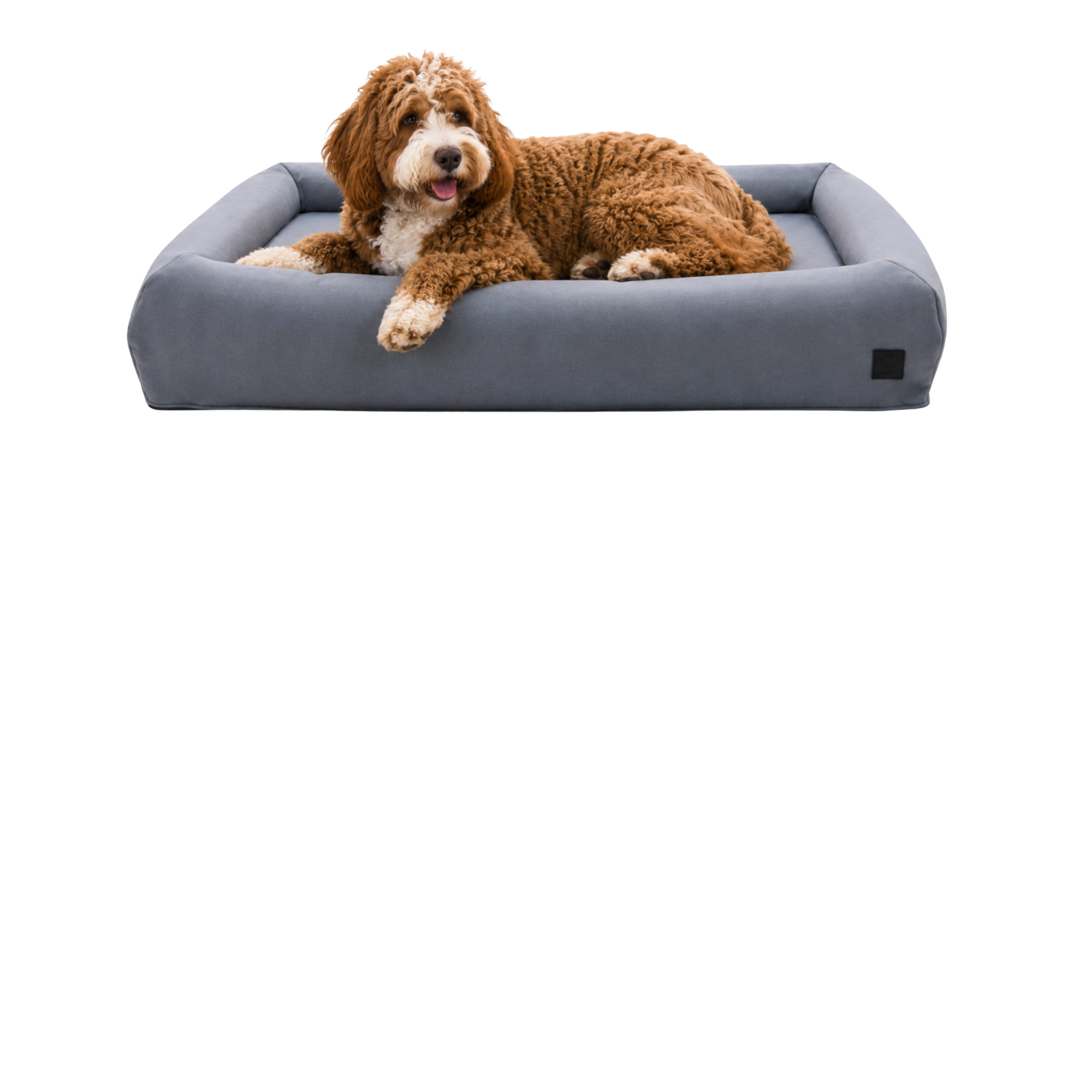 bolster_dog.png