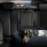 Venture - Tough Car Dog Bed