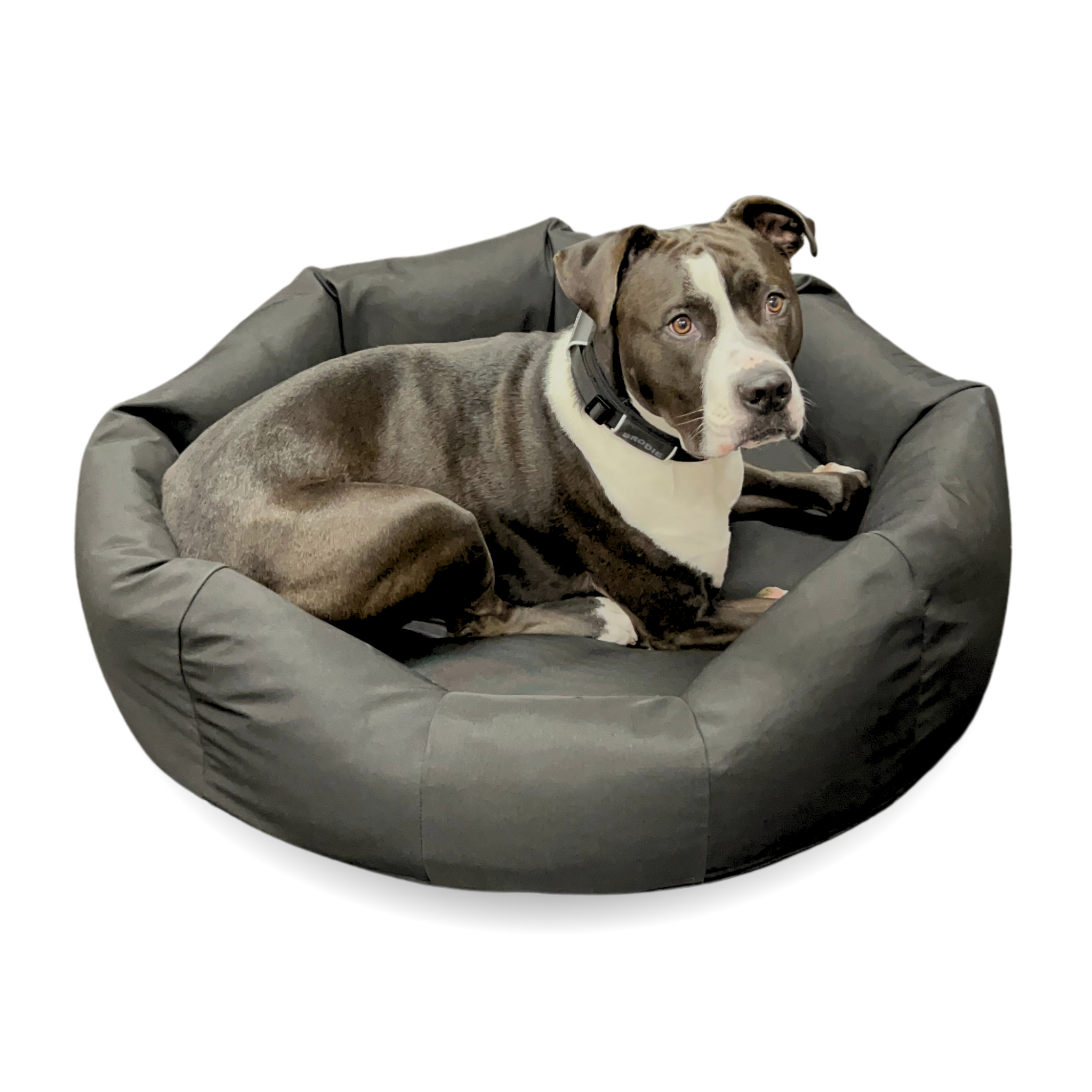 Den - Round Bolster Tough Bed