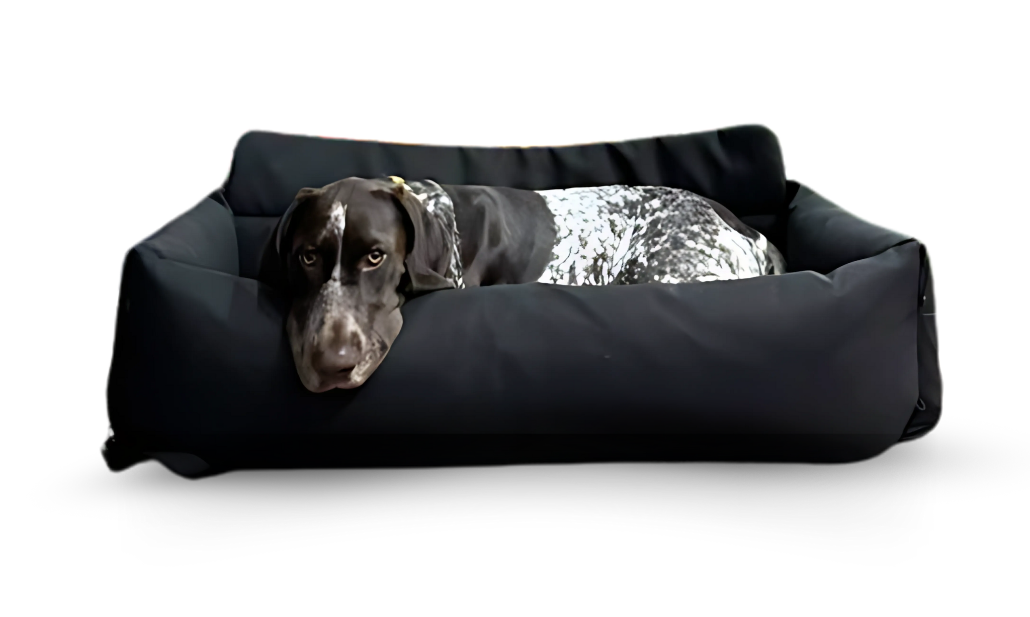 Venture Travel Dog bed being used by a dog