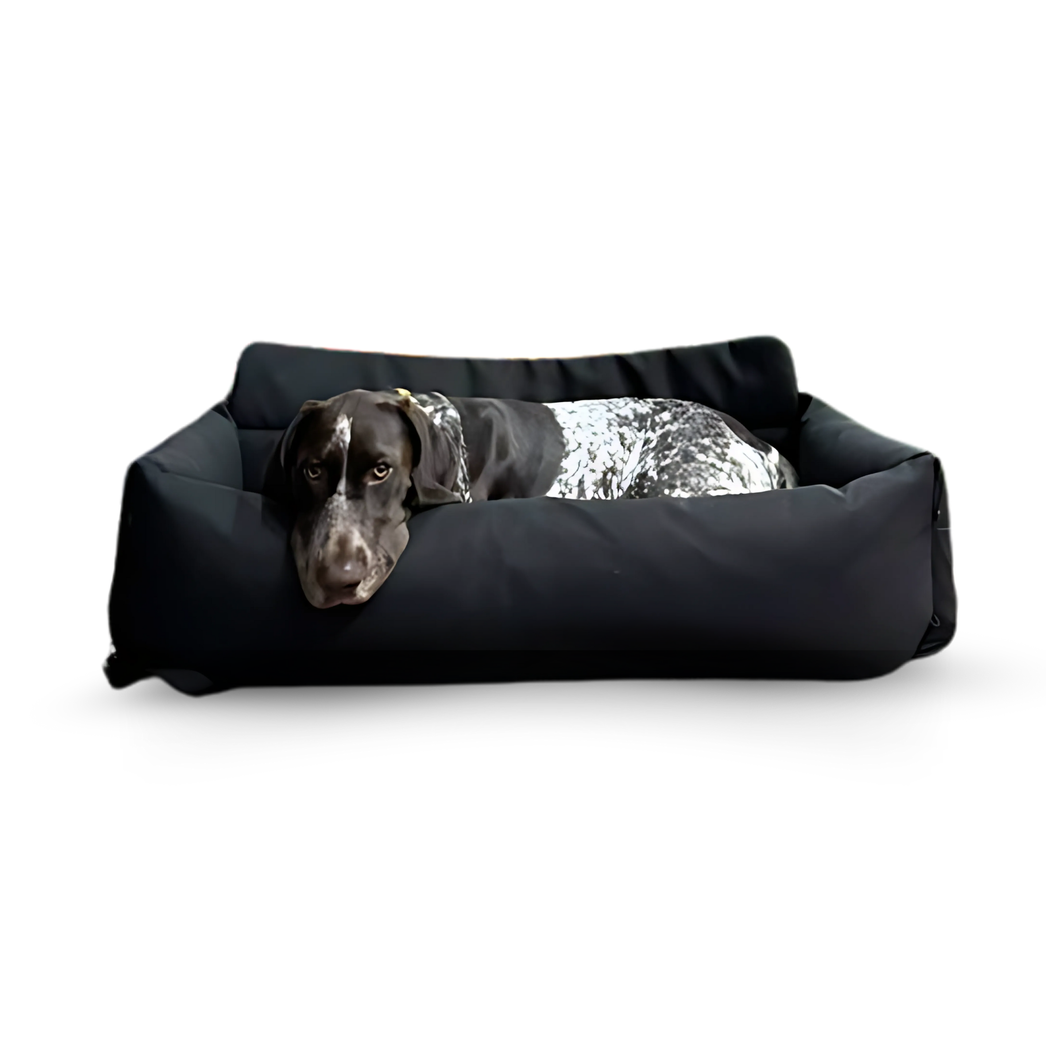 Venture Travel Dog bed being used by a dog