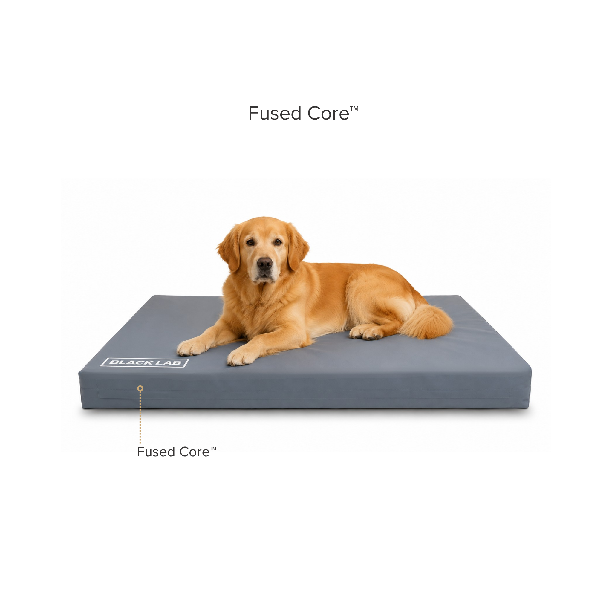 Build your dog bed waterproof fused core mattress