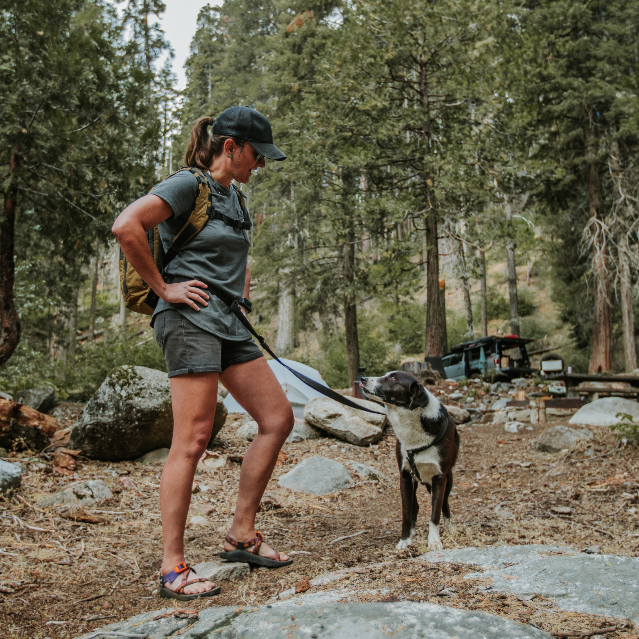 Black Lab Brands Hands-Free Dog Leash with Fidlock buckle and harness