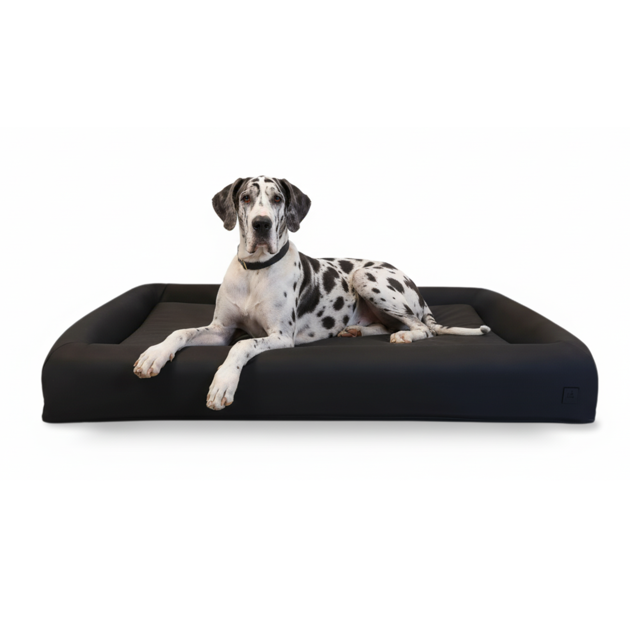 A black rectangular bolster dog bed with a raised border, shown on a white background with a black-and-white spotted dog lying on top.
